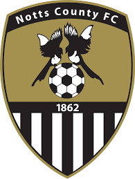 https://img.yyhnw.com/img/football/team/9e230c89a846b9cadf91884918fa7611.png